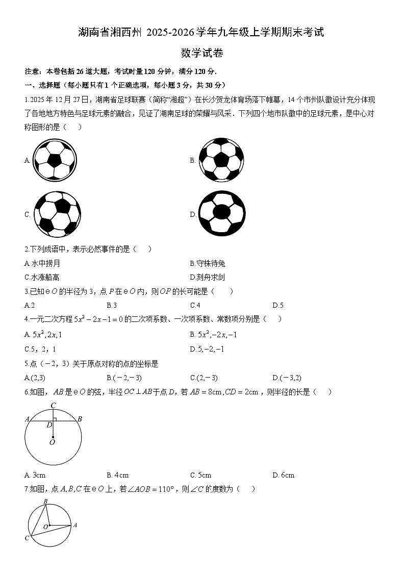 2025-2026学年湖南省湘西州九年级上学期期末考试数学试卷（学生版）第1页