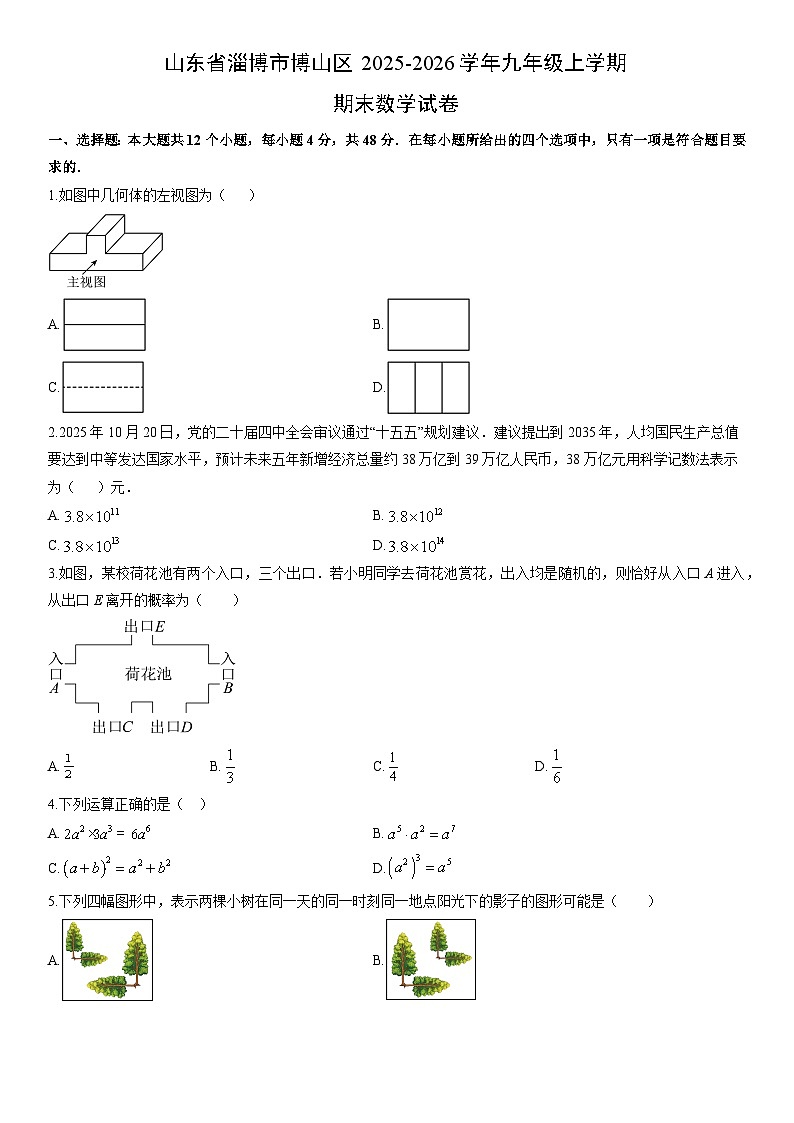 2025-2026学年山东省淄博市博山区九年级上学期期末数学试卷（学生版）第1页