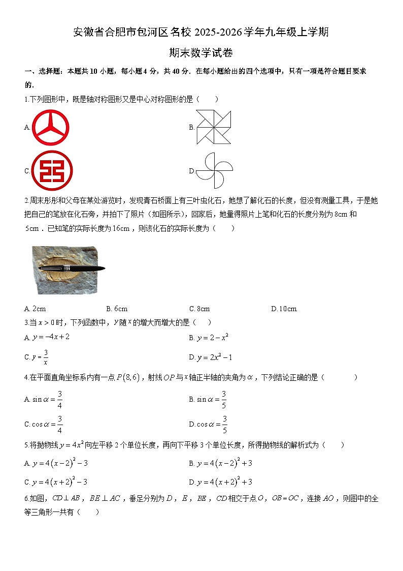 2025-2026学年安徽省合肥市包河区名校九年级上学期期末数学试卷（学生版）第1页