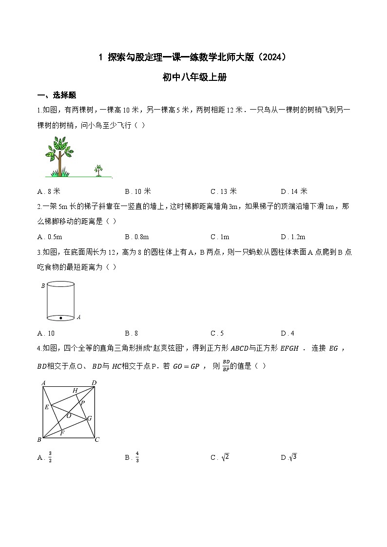 1 探索勾股定理一课一练数学北师大版（2024）初中八年级上册(无答案)第1页