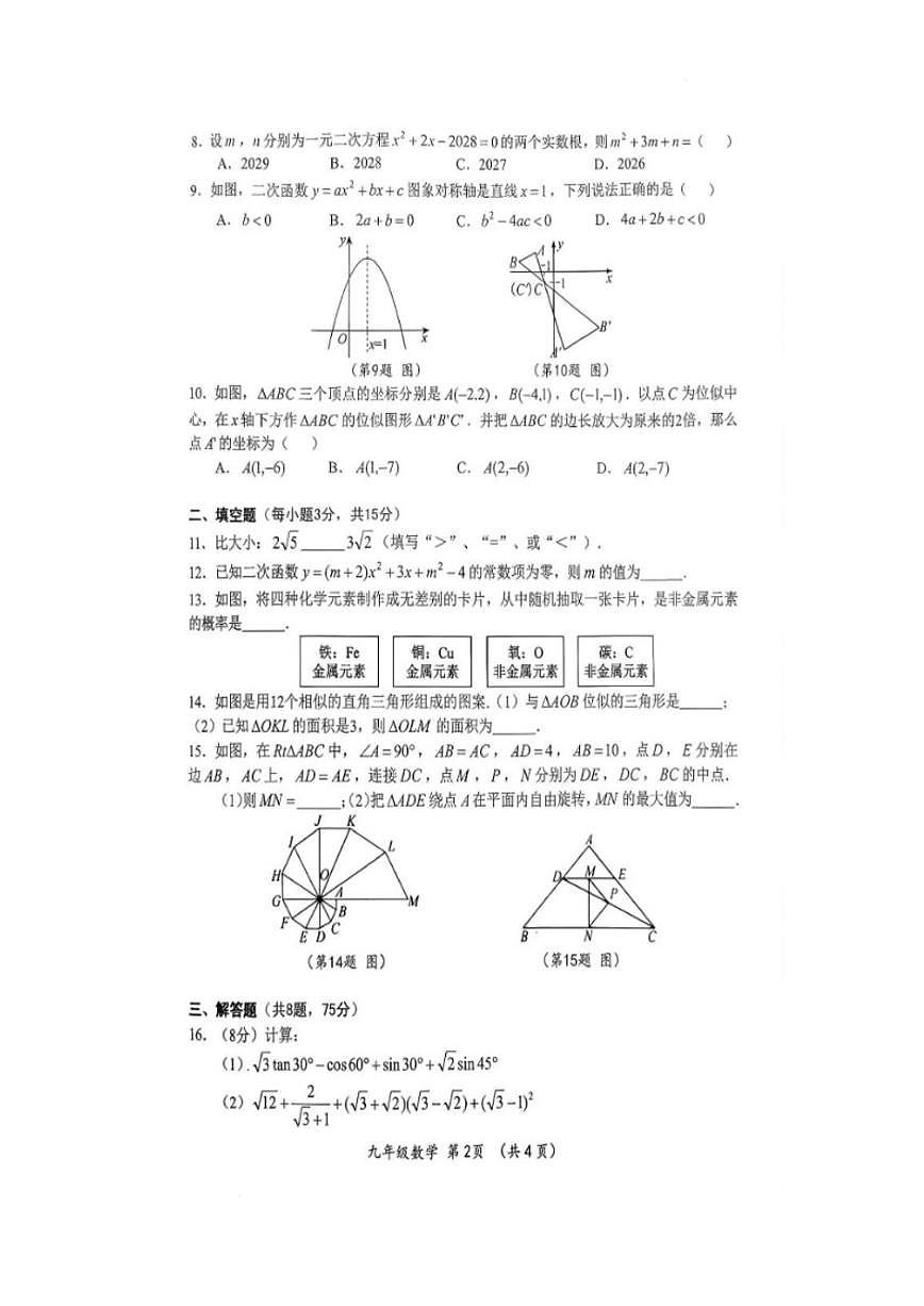 2025-2026学年河南南阳市桐柏县九年级上学期2月期末数学_(含答案_)试题第2页