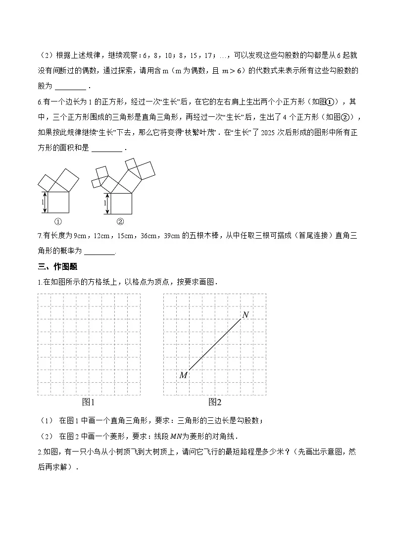 3.2 勾股定理的逆定理一课一练数学苏科版（2024）初中八年级上册(无答案)第3页