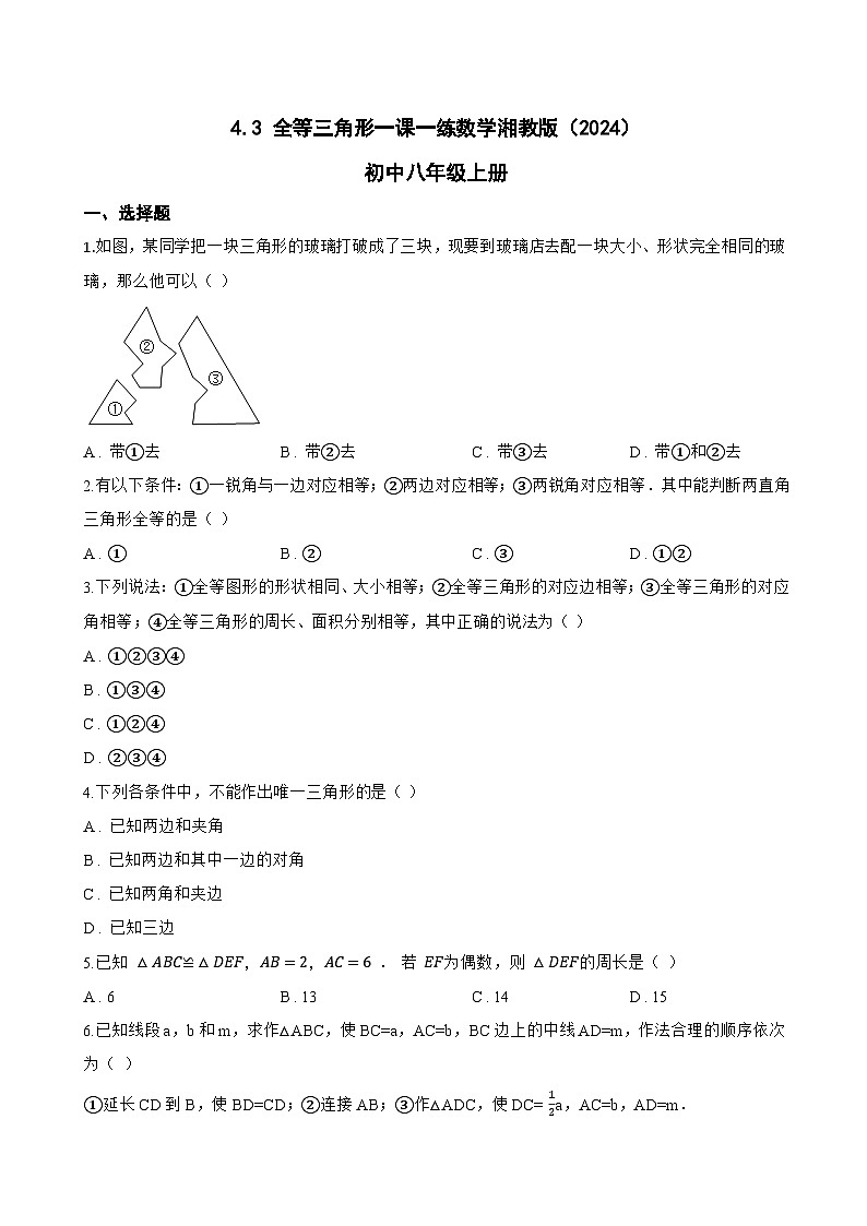 4.3 全等三角形一课一练数学湘教版（2024）初中八年级上册(无答案)第1页