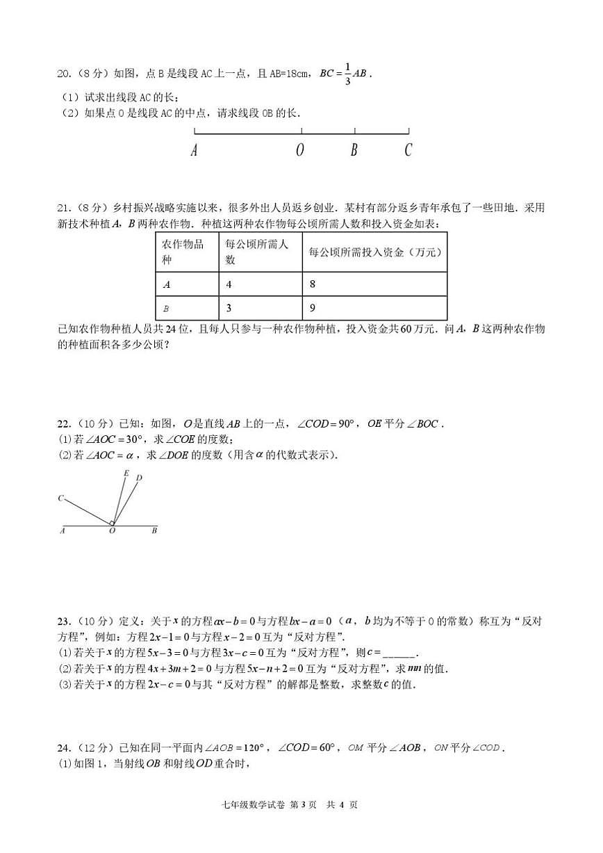 2025-2026学年湖南湘潭市岳塘区七年级上学期期末考试数学试卷（含答案）第3页