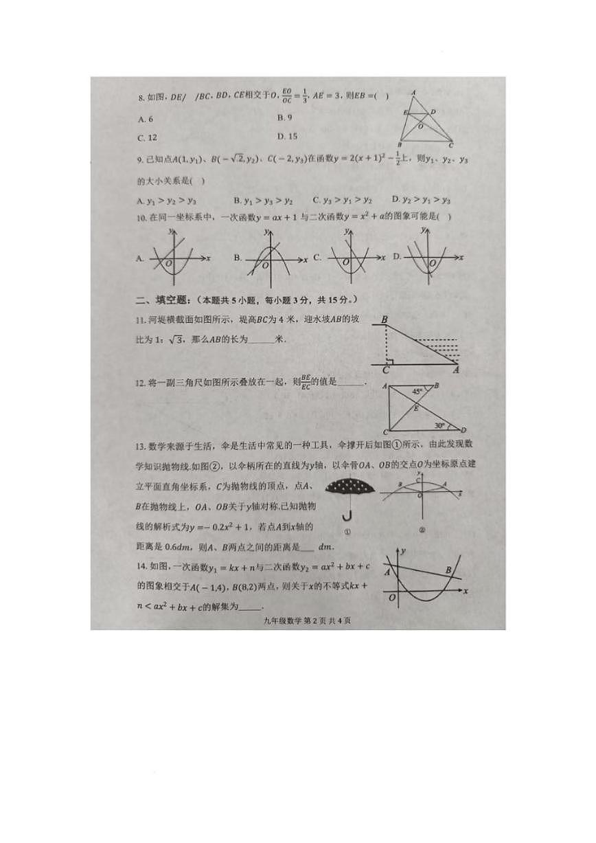 2025-2026学年河南洛阳市洛宁县第一学期期末学情调研九年级数学试题（含答案）第2页