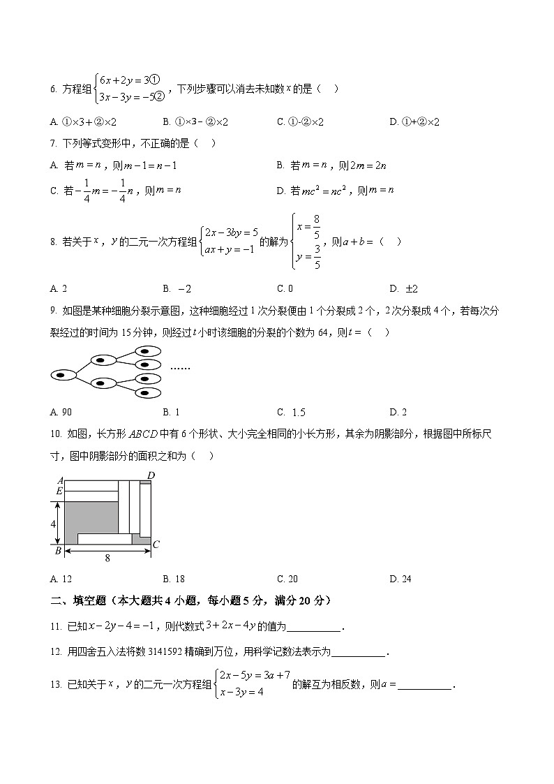 安徽省淮北市部分学校2025-2026学年七年级上学期1月期末数学试题第2页
