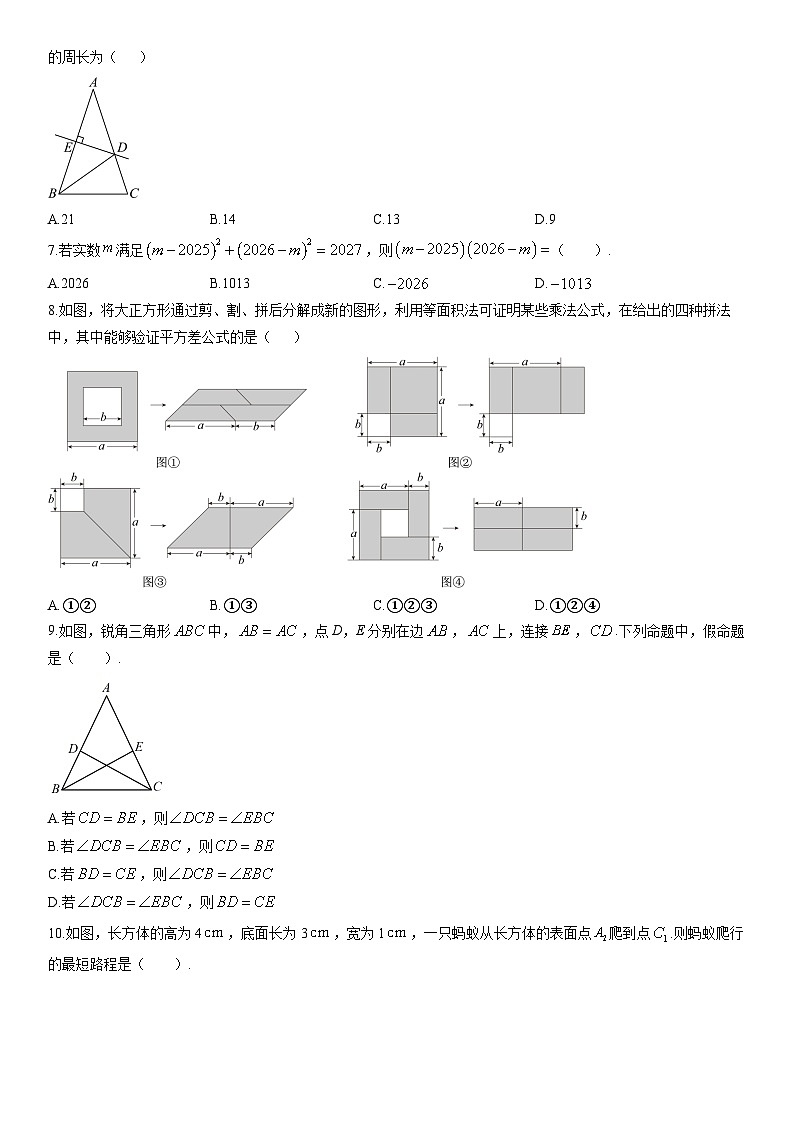 2025-2026学年河南省洛阳市伊川县八年级上学期期末质量调研检测数学试卷（学生版）第2页