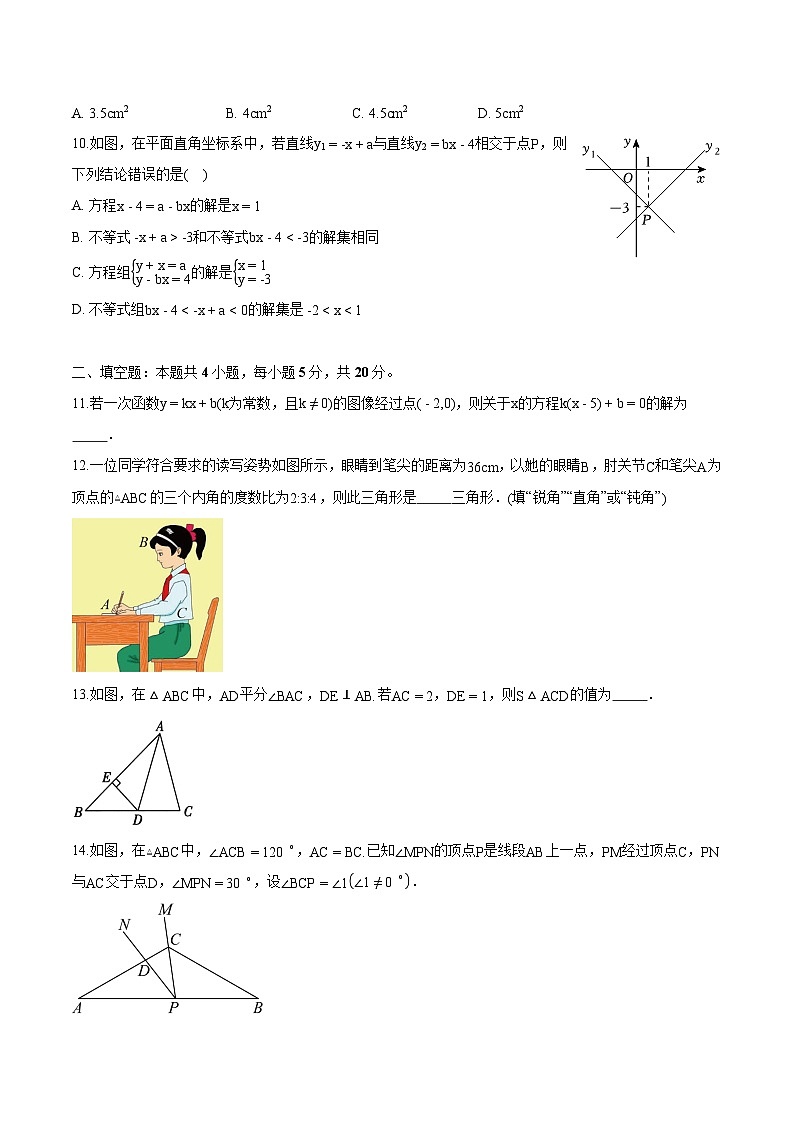 安徽省滁州市定远县育才学校2025-2026学年上学期八年级上学期 数学期末试卷第3页