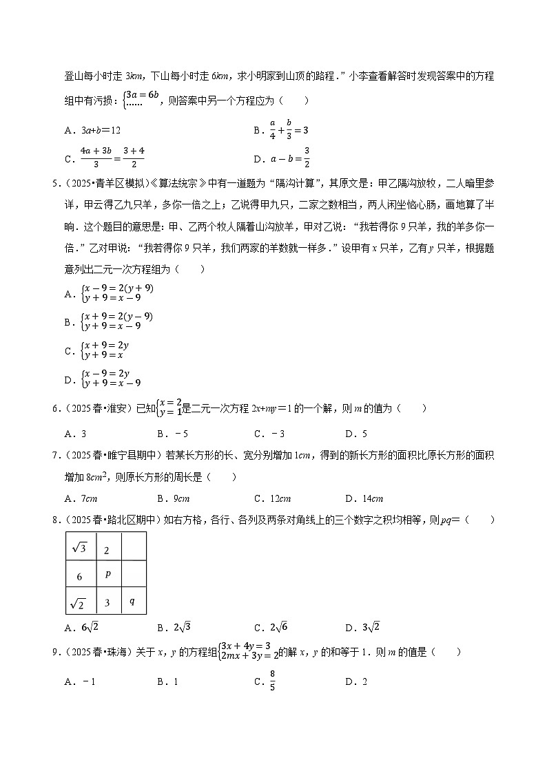 2026中考数学高频考点一轮复习：二元一次方程组（试题含解析）第2页