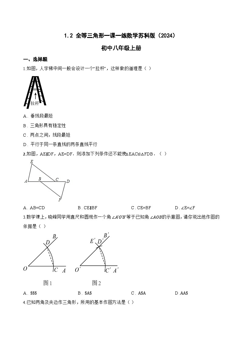 1.2 全等三角形一课一练数学苏科版（2024）初中八年级上册(无答案)第1页