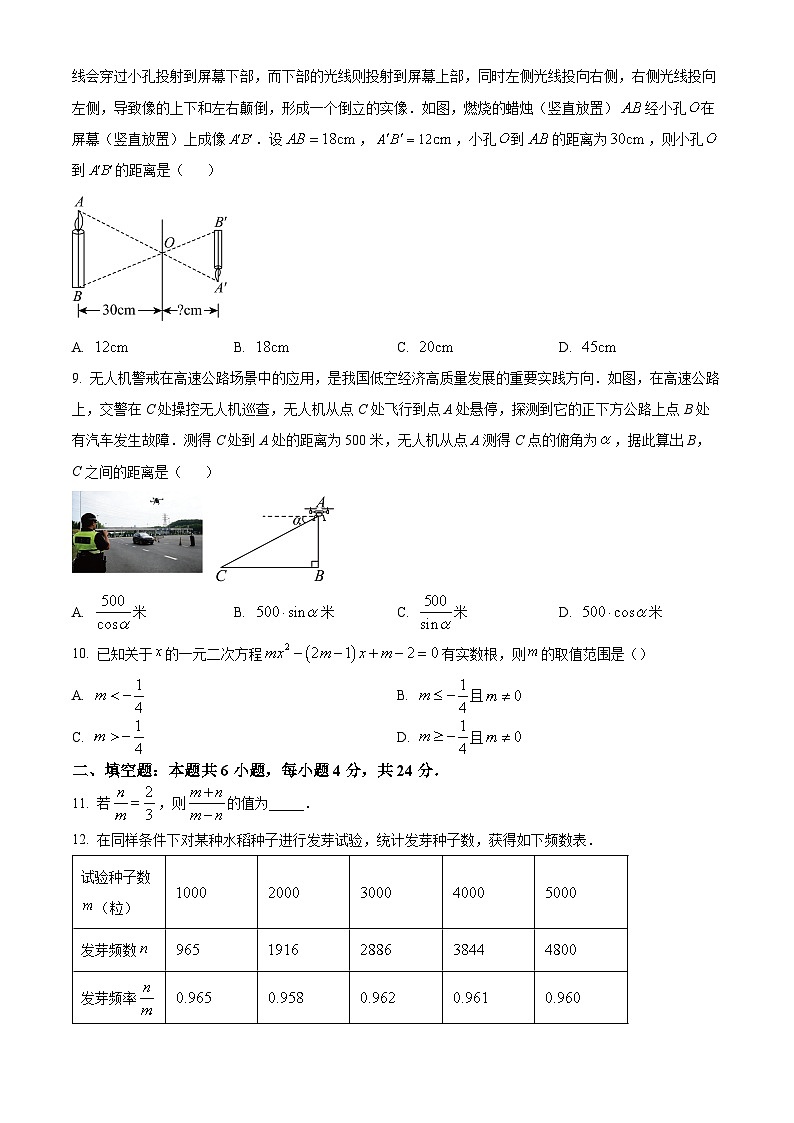 福建泉州市南安市2025年秋季初中阶段期末教学诊断样卷B卷 九年级数学上学期期末试题（试卷+解析）第2页