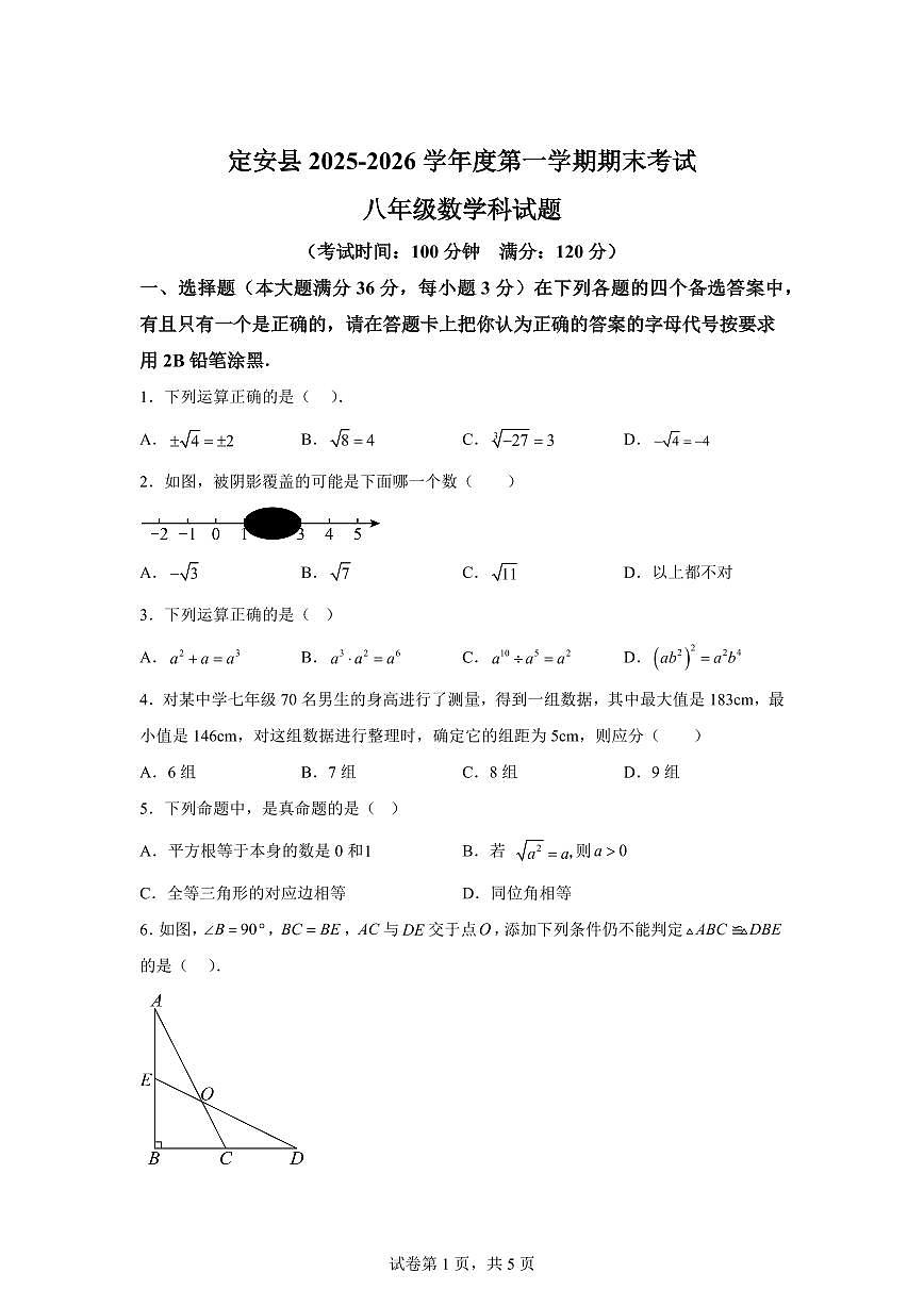 2025~2026学年海南省定安县度上学期期末考试八年级数学科试卷（含答案）第1页