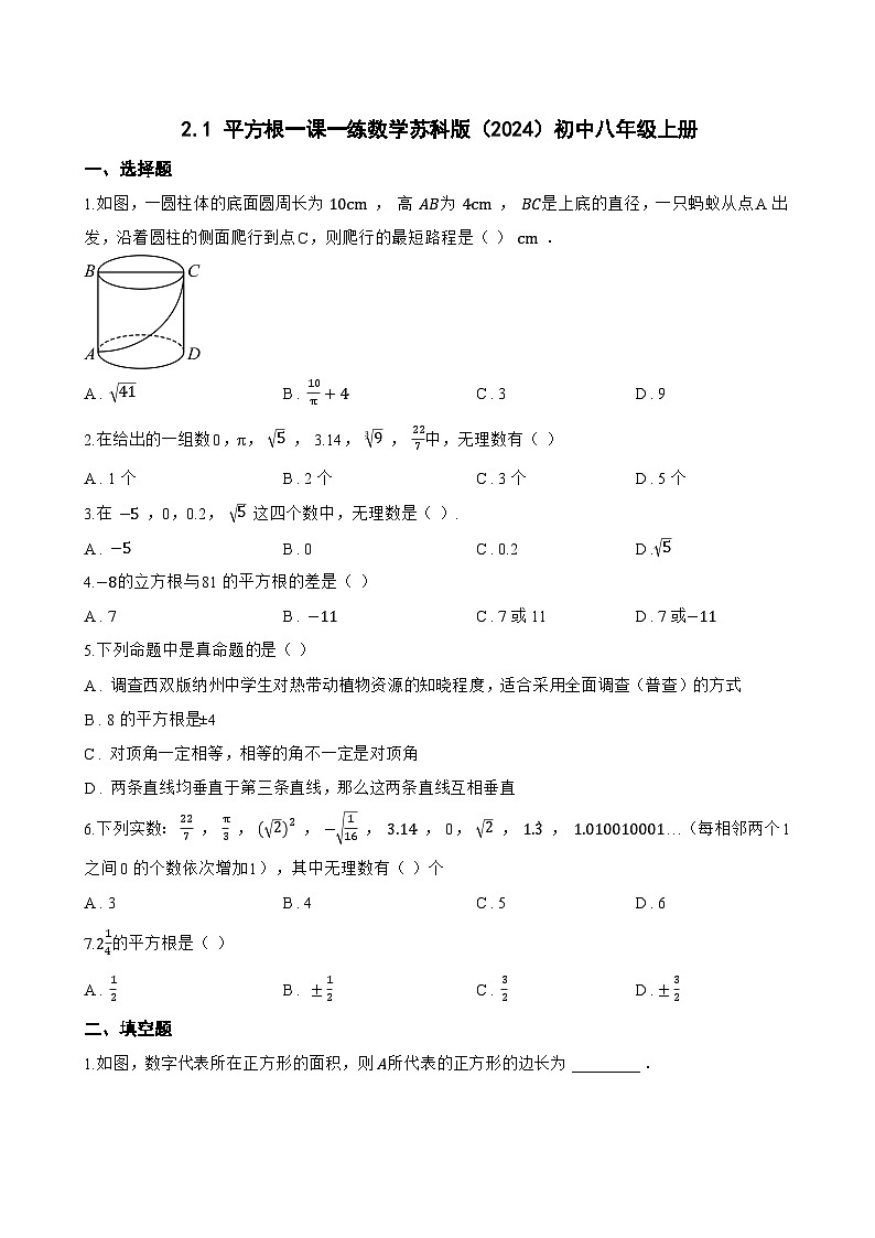 2.1 平方根一课一练数学苏科版（2024）初中八年级上册(无答案)第1页