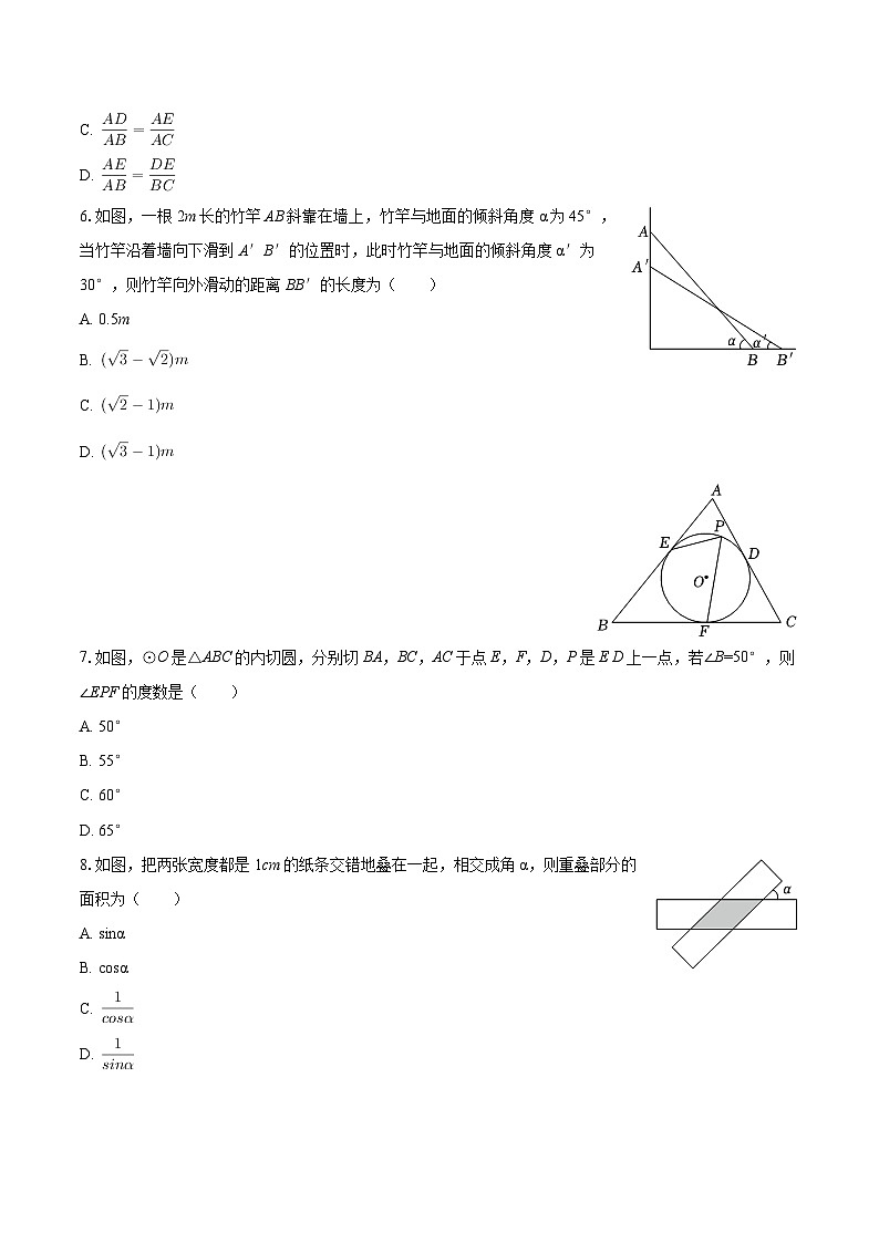 2025-2026学年浙江省绍兴市嵊州市九年级（上）期末数学试卷-自定义类型第2页