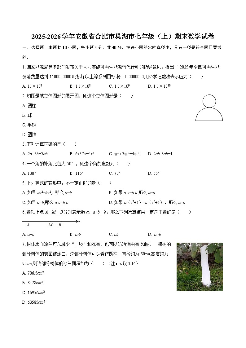 2025-2026学年安徽省合肥市巢湖市七年级（上）期末数学试卷-自定义类型第1页
