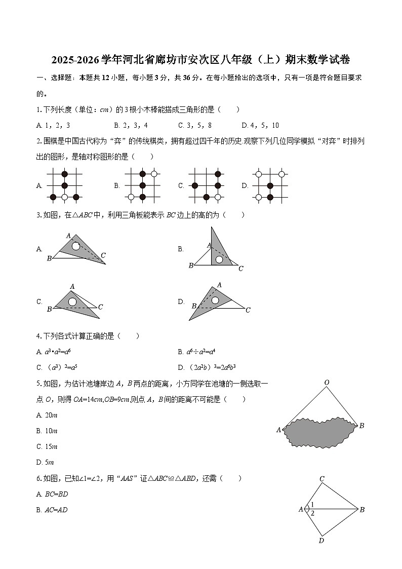 2025-2026学年河北省廊坊市安次区八年级（上）期末数学试卷-自定义类型第1页