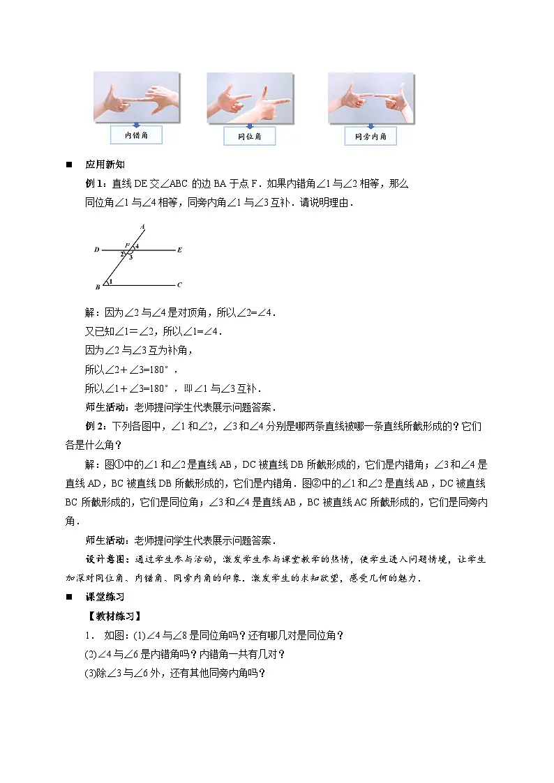 1.2同位角、内错角、同旁内角 教案 初中数学浙教版（2024）七年级下册第3页
