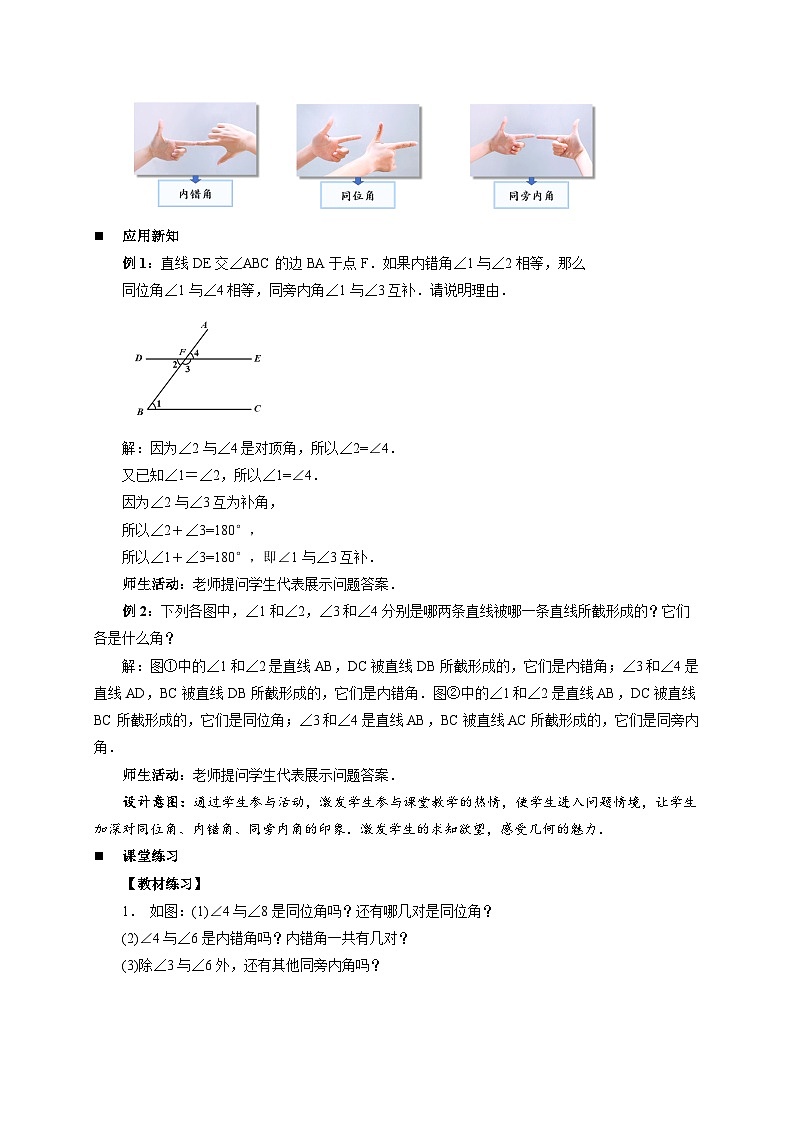 1.2同位角、内错角、同旁内角 教案 初中数学浙教版（2024）七年级下册第3页