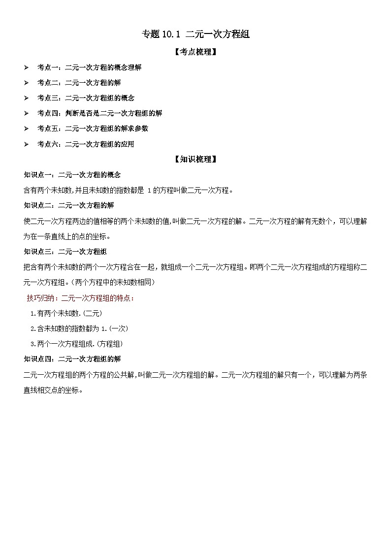专题10.1 二元一次方程组 解析版第1页