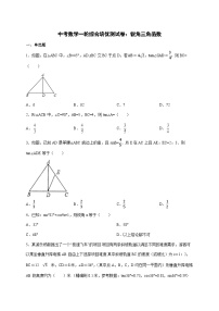 2026年 中考数学第一轮专项训练：锐角三角函数 [含答案]