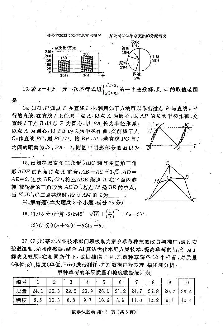 2025年新题型初中学业水平适应性测试-数学试卷第3页