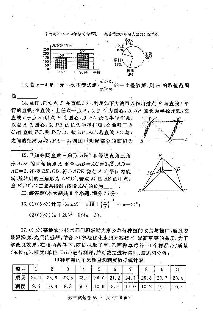 2025年新题型初中学业水平适应性测试-数学试卷第3页