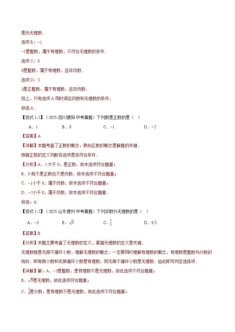 专题1.1 实数及其运算（举一反三复习讲义）（解析版）第3页