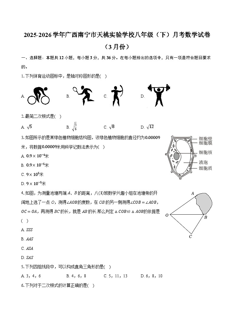 2025-2026学年广西南宁市天桃实验学校八年级（下）月考数学试卷（3月份）（含答案+解析）第1页