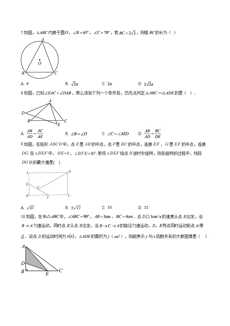 安徽安庆市望江县部分学校2025-2026学年九年级下学期阶段学情自测 数学试题第2页