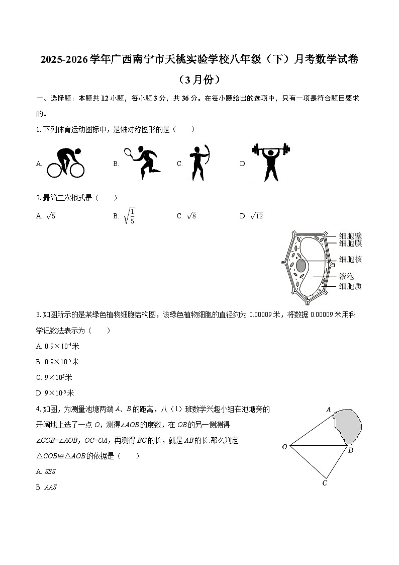 2025-2026学年广西南宁市天桃实验学校八年级（下）月考数学试卷（3月份）-自定义类型第1页