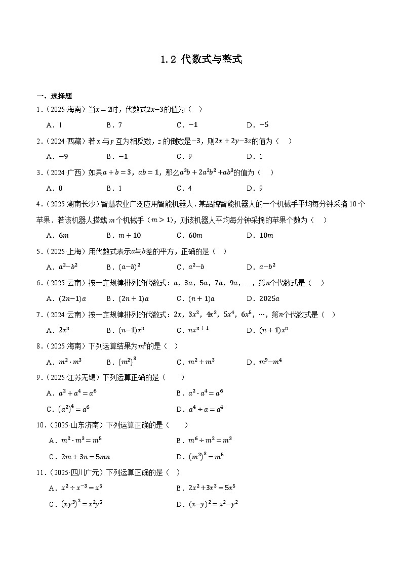 人教版2024-2025年全国九年级数学中考真题汇编 1.2 代数式与整式第1页