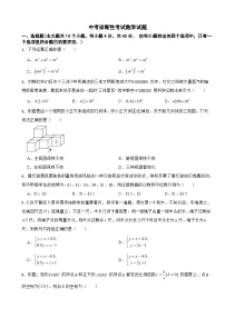四川省遂宁市2026年中考诊断性考试数学试题附答案