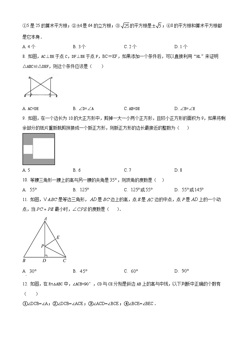 河北省石家庄市栾城区2024-2025学年八年级上学期期中考试数学试题第2页