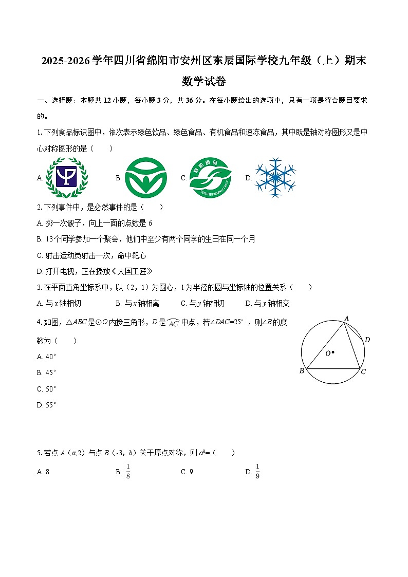 2025-2026学年四川省绵阳市安州区东辰国际学校九年级（上）期末数学试卷-自定义类型第1页