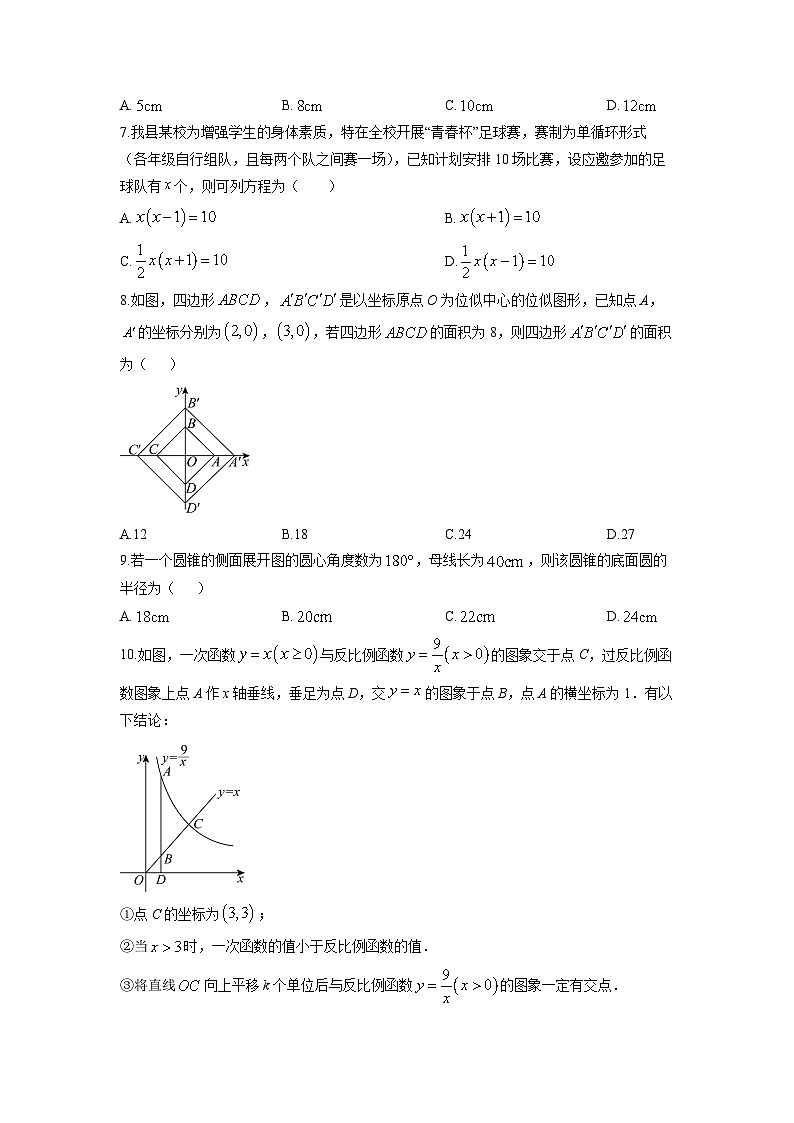 2025-2026学年广东省东莞市寮步镇九年级上学期期末数学试卷（学生版）第2页
