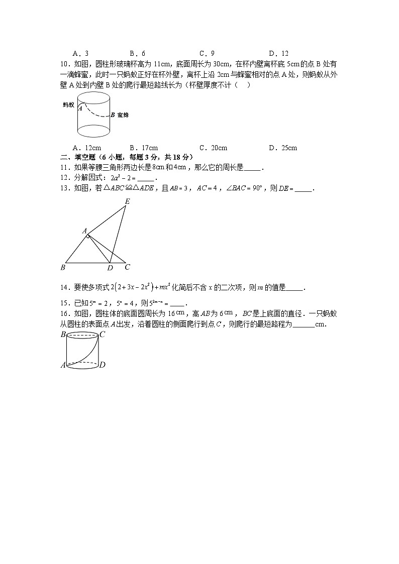 华东师大版2025—2026学年八年级上册数学期末考试复习卷第2页