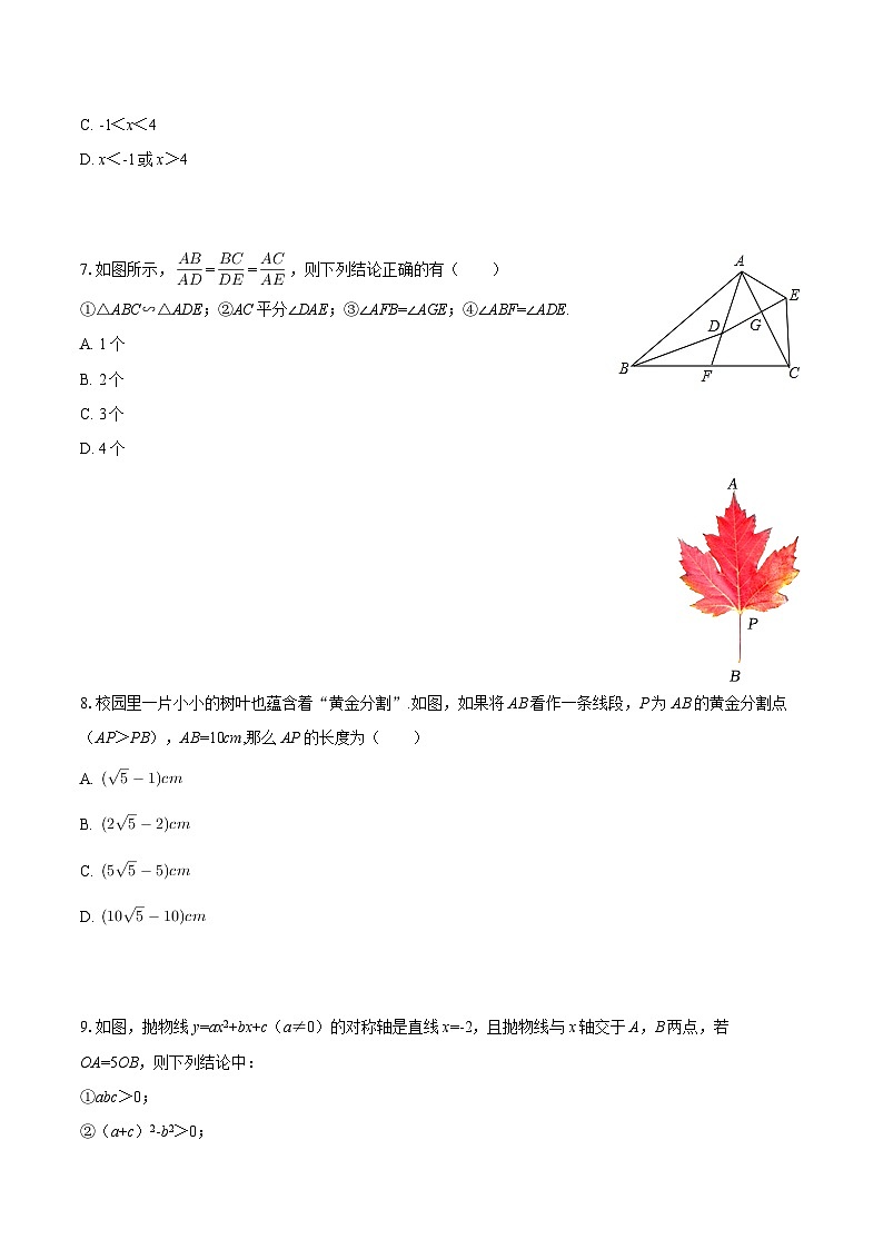 2025-2026学年安徽省池州市青阳县九年级（上）期末数学试卷-自定义类型第2页