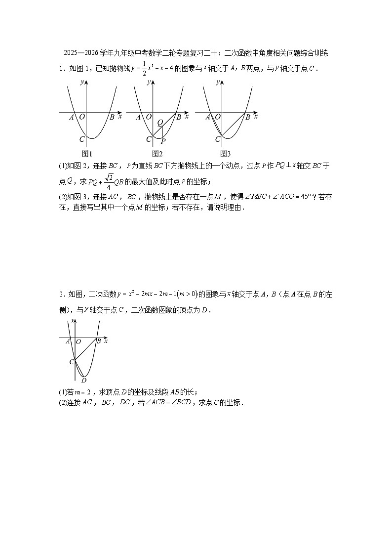 2025—2026学年九年级中考数学二轮专题复习二十：二次函数中角度相关问题综合训练第1页