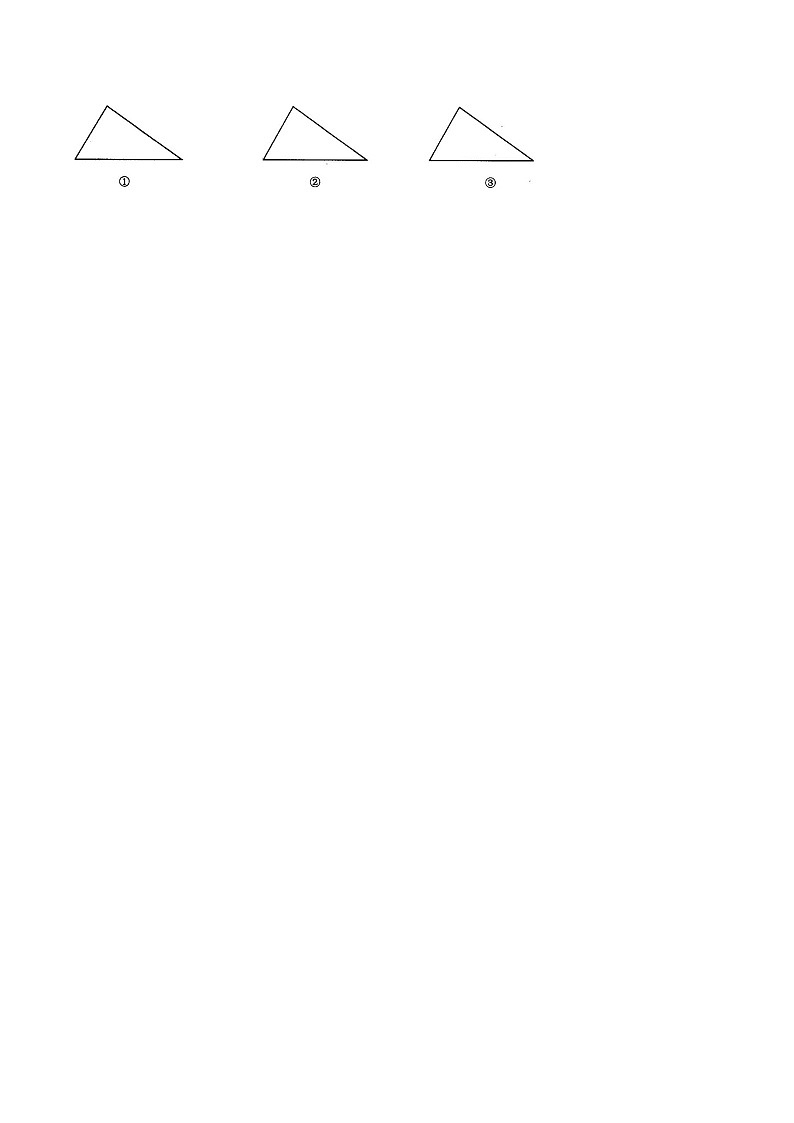 八年级上学期数学同步提升训练——三角形单元检测一（含答案）第3页
