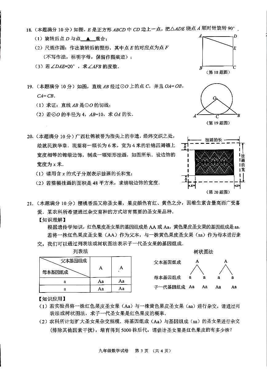 广西南宁市2024-2025学年九年级上学期数学期末试题第3页