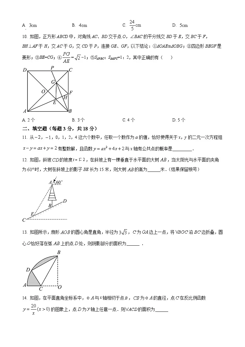  广东省广州市广大附中大学城校区大奥班2024~2025学年八年级下学期期中考试数学试卷 （原卷版）第3页