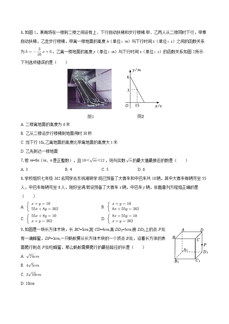 2025-2026学年河南省郑州二十一中八年级（下）开学数学试卷-自定义类型第2页