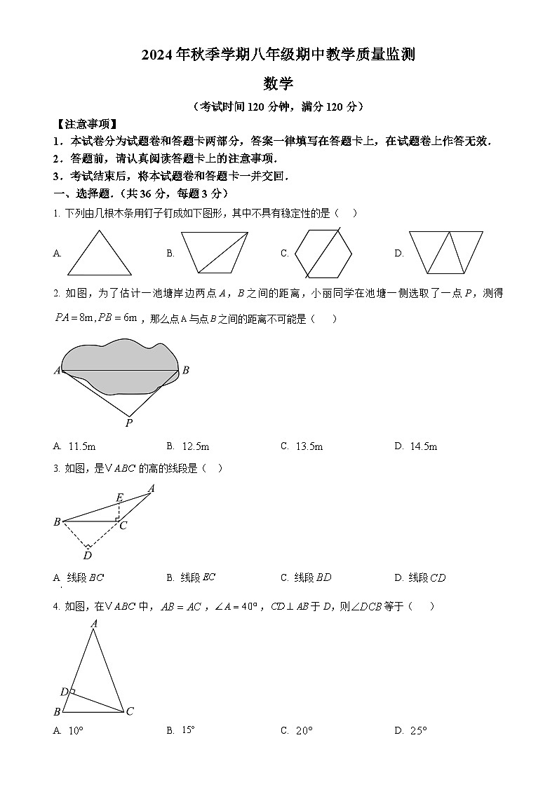 广西防城港市上思县2024--2025学年上学期八年级数学期中教学质量监测试卷（原卷版）-A4第1页