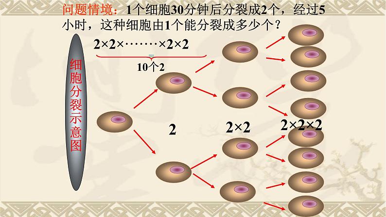 第一章 有理数 课件03