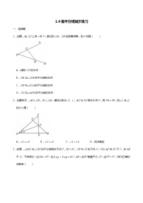 初中数学北师大版八年级下册4 角平分线课时练习