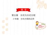 2020春北师大版八下数学第五章分式与分式方程小专题——分式方程的应用课件