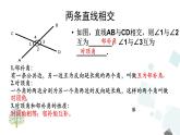 第5章复习 PPT课件 - 人教版七下