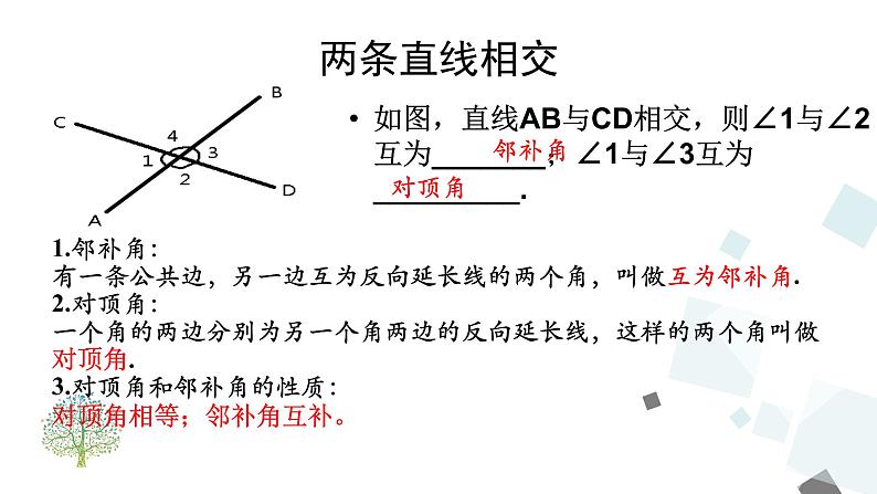 第5章复习 PPT课件 - 人教版七下03