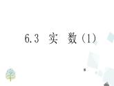 6.3  实  数（1） PPT课件 - 人教版七下