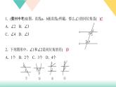 5．1.3　同位角、内错角、同旁内角-(课堂训练PPT课件)